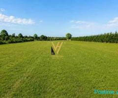 SHITET TOKE ARE 5.300 M2 PERBALLE PALMANOVA 636.000 EURO
