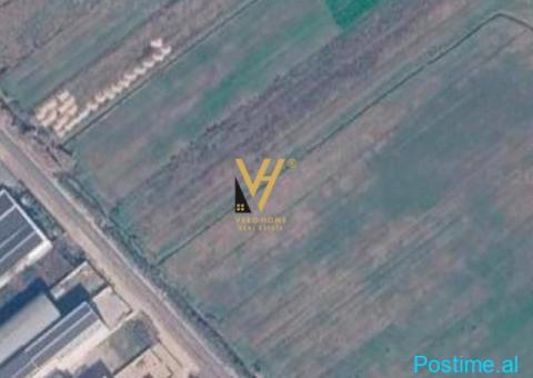 JEPET TOKE 7.000 M2 ME QERA NE VORE,MUÇAJ 250.000 LEKE