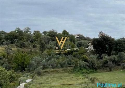 SHITET TRUALL 16.000 M2 PRANE TEG 3.200.000 EURO
