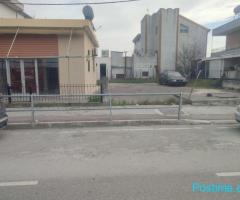 SHITET TOKE PRANE UNIVERSITETIT(GODINA NR.2), DURRES