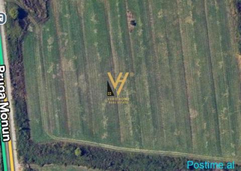 SHITET TOKE 47.000 M2 NE DOMJE, VORE 10.340.000 EURO