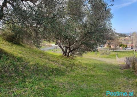 OKAZION Shitet TOKE 42€/m2 Porto Romano QENDER - 2/8