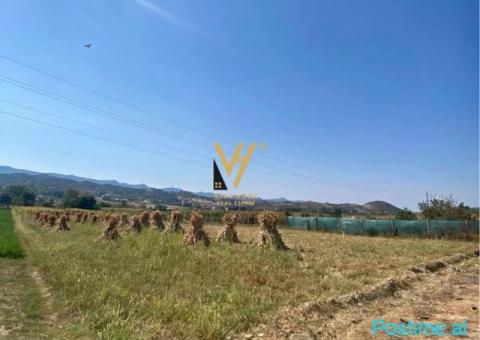 SHITET TOKE ARE 2.488 M2 NE MUSTAFAKOÇAJ, BALDUSHK 16.000.00