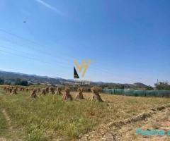SHITET TOKE ARE 2.488 M2 NE MUSTAFAKOÇAJ, BALDUSHK 16.000.00