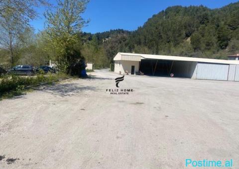 JEPET TOKE +NDERTESE ME QERA 10000 M2 MULLET 10.000 EURO - 3/4