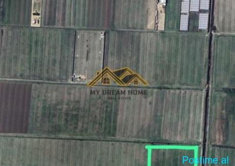 SHITEN 11 500 M2 TOKE ARE NE SEKTOR RINIA ,DURRES! - 1/8