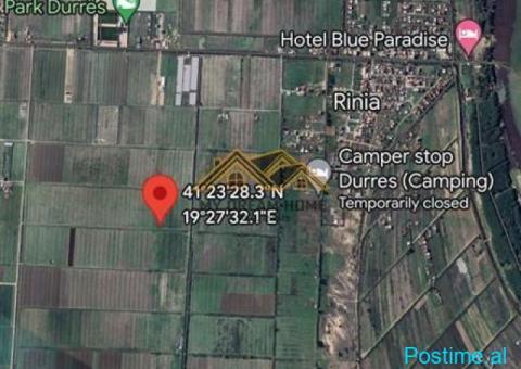 SHITEN 11 500 M2 TOKE ARE NE SEKTOR RINIA ,DURRES! - 4/8