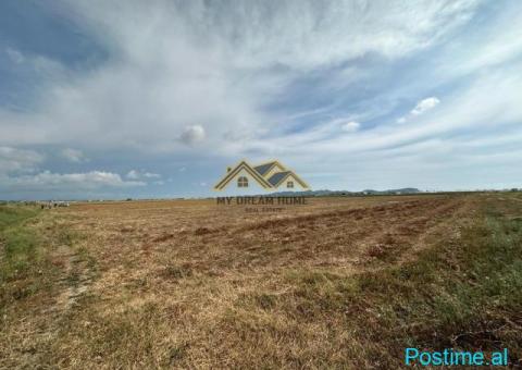 SHITEN 11 500 M2 TOKE ARE NE SEKTOR RINIA ,DURRES! - 5/8