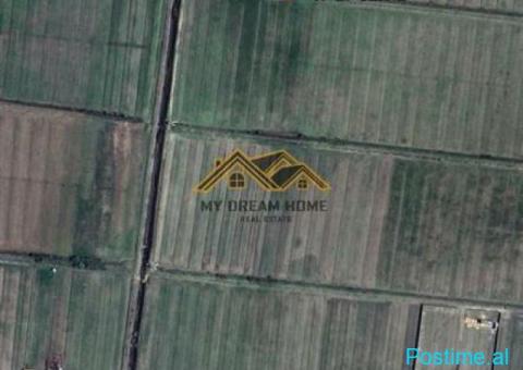 SHITEN 11 500 M2 TOKE ARE NE SEKTOR RINIA ,DURRES! - 8/8