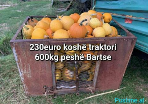 Rimorkio prekolic per pleh natyral kardon gjendje pune - 9/10