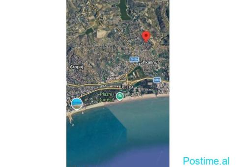 +355693150128. SHITET TOKE NE SHKALLNUR, DURRES ! - 6/7