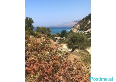 SHITET TOKË PRANË DETIT – 3000 m², BUNEC - 1/3