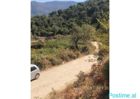 SHITET TOKË PRANË DETIT – 3000 m², BUNEC - 2/3