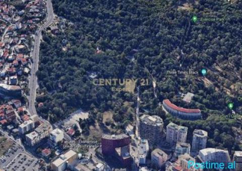 SHESIM TOKE TRUALL TEK PARKU I LIQENIT ARTIFICIAL, RRUGA E E - 2/3
