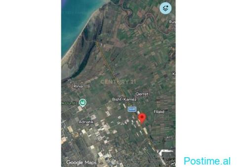 Tokë për Shitje në fllake-Durrës -60,000€_2000 m².0693150128 - 2/2