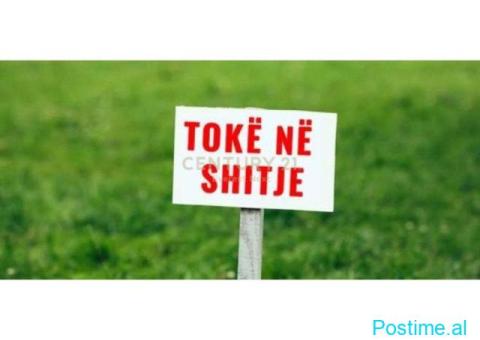 Shitet Toke ne Xhafzotaj