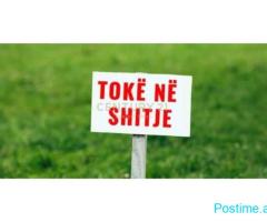 Shitet Toke ne Xhafzotaj
