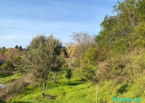 SHITET TOKE 1.300 M2 NE PASKUQAN 273.000 EURO