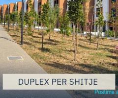 TN0015 | DUPLEX PËR SHITJE TEK PICCADILLY R. | EVANS IBRO
