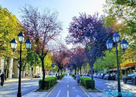 Jepet me qera Ambjent Zyre – Rruga e Bogdanëve