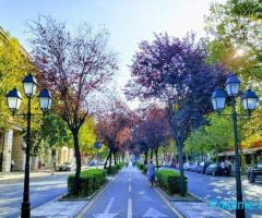 Jepet me qera Ambjent Zyre – Rruga e Bogdanëve