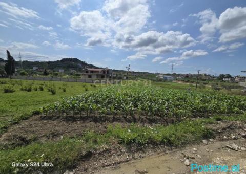 0697603180Shitet Tokë në Golem, 490m2 ! - 2/6