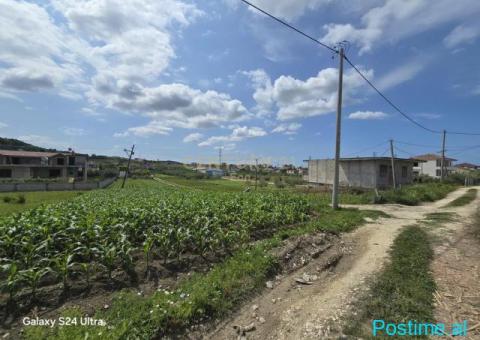 0697603180Shitet Tokë në Golem, 490m2 ! - 3/6
