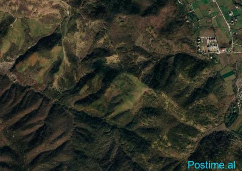 (T)🟢 SHITET TOKË 25,000 m² – TAGAN