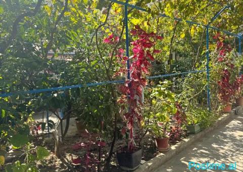Shtepi me qera durres - 2/10