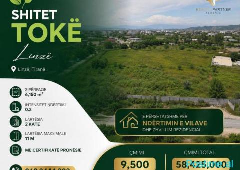 SHITET TOKE TE LINZE