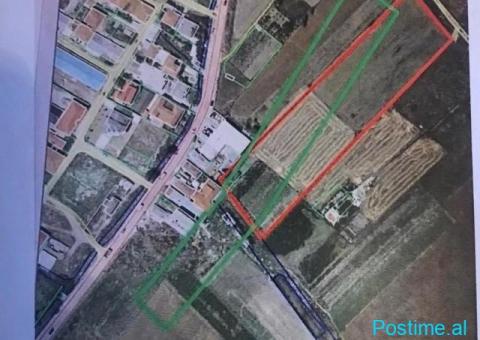 Shes TRUALL 9,000M2 ne Korce 4,000 leke/M2 - 1/4