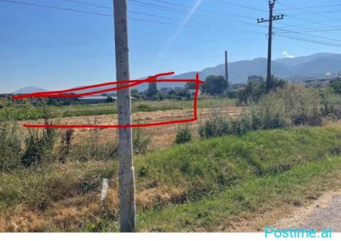 Shes TRUALL 9,000M2 ne Korce 4,000 leke/M2 - 3/4