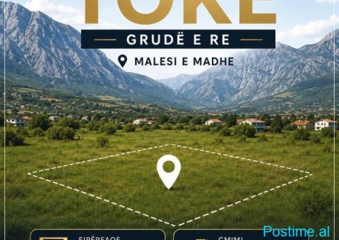 Shitet toke ne grude e re shkoder
