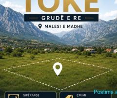 Shitet toke ne grude e re shkoder