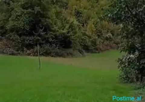 (C)🟢 SHITET TOKË 3,200 m² – DOPAJ, ELBASAN - 1/4