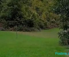 (C)🟢 SHITET TOKË 3,200 m² – DOPAJ, ELBASAN