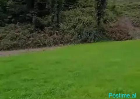 (C)🟢 SHITET TOKË 3,200 m² – DOPAJ, ELBASAN - 2/4