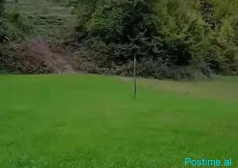 (C)🟢 SHITET TOKË 3,200 m² – DOPAJ, ELBASAN - 3/4