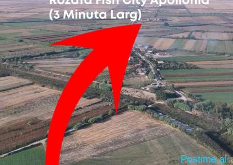 TOKË NË SHITJE – POJAN, FIER - 3/3