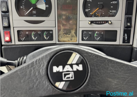 Man 4x4 19.293 me vinc - 4/10