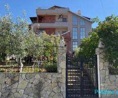 Shitet Vila, Tirane, Selite