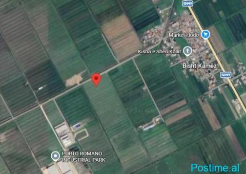 SHITET TOKE NE BISHT KAMEZ, DURRES