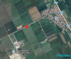 SHITET TOKE NE BISHT KAMEZ, DURRES