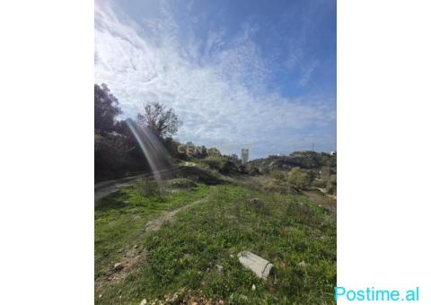 0697603180SHITET TOKE 300M2 . 33.000€ Golem IDEALE PER VILE - 2/2