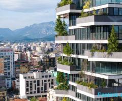 📌Jepet me Qira Ambient Zyre Premium - Vertikal Forest