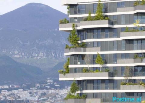 📌Jepet me Qira Ambient Zyre Premium - Vertikal Forest - 3/4