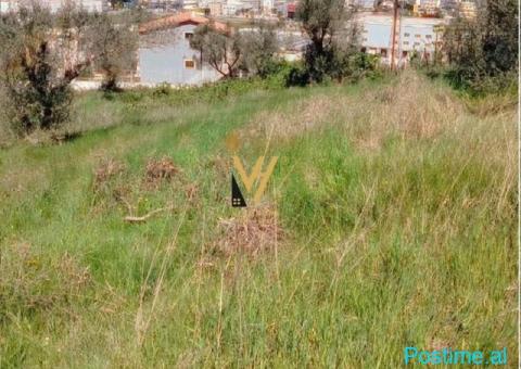 SHITET TOKE 1.500 M2 NE KASHAR 210.000 EURO