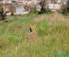 SHITET TOKE 1.500 M2 NE KASHAR 210.000 EURO