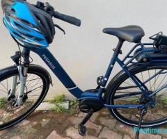 Biciklete elektrike Pegasus 29 - 950 Lek