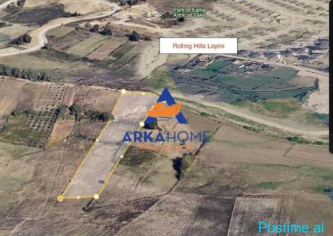 SHITET TOKË 6.000 M² 'FARKË' 2100000 EURO - 3/3